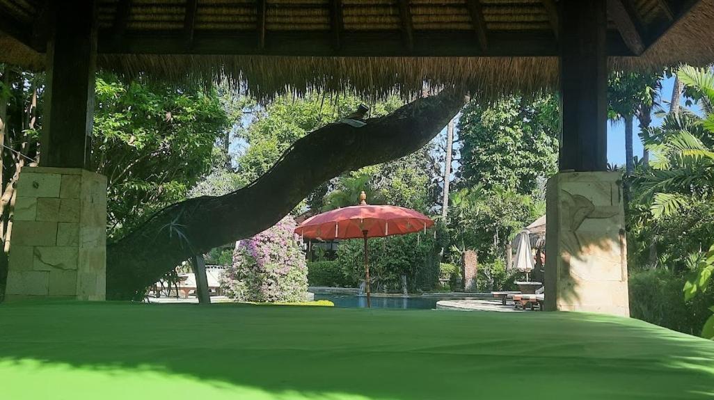 Rambutan Hotel Lovina  Exterior photo