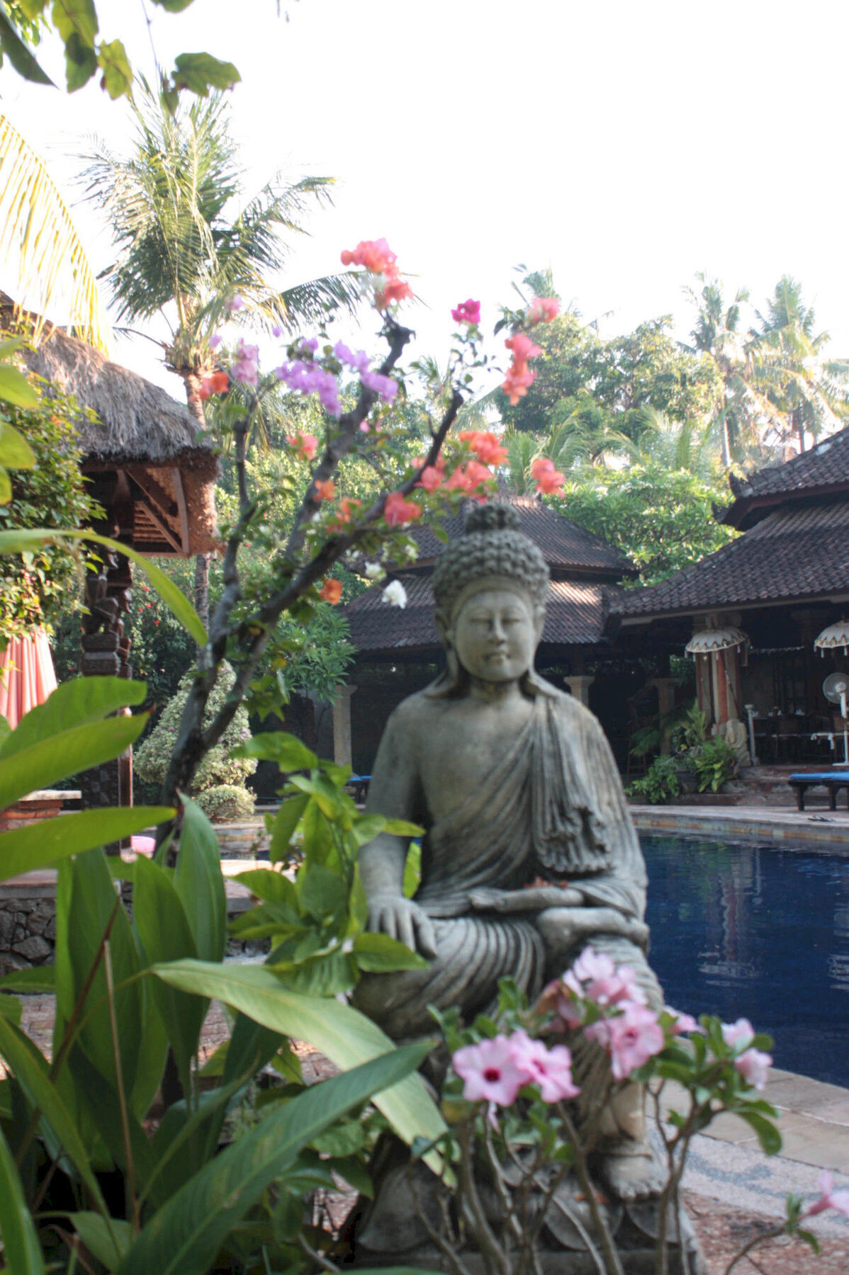 Rambutan Hotel Lovina  Exterior photo